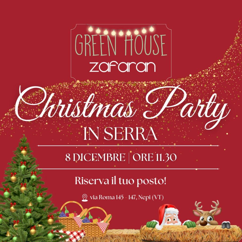 Christmas in Green House Zafaran-08-12-2024