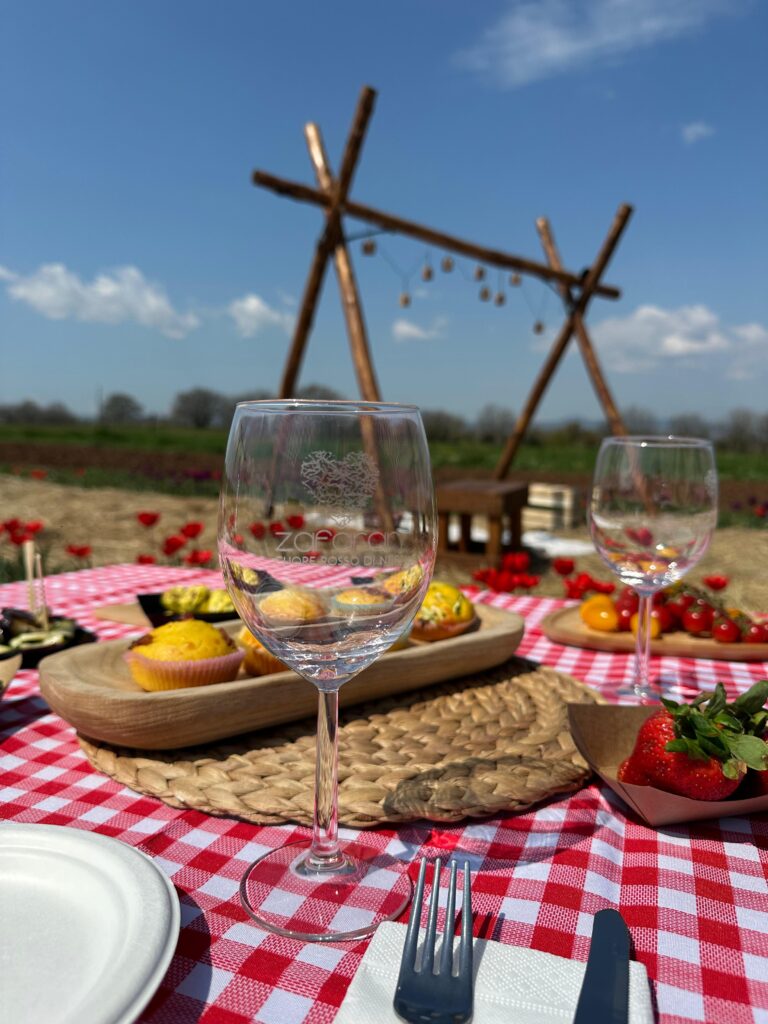 Pasquetta in Fiore: Aperitivo, Picnic e Grigliata tra i Tulipani - SOLD OUT
