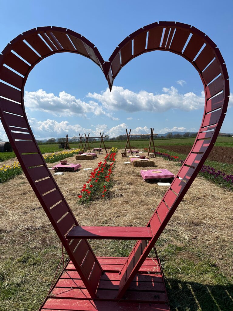 Pasquetta in Fiore: Aperitivo, Picnic e Grigliata tra i Tulipani - SOLD OUT