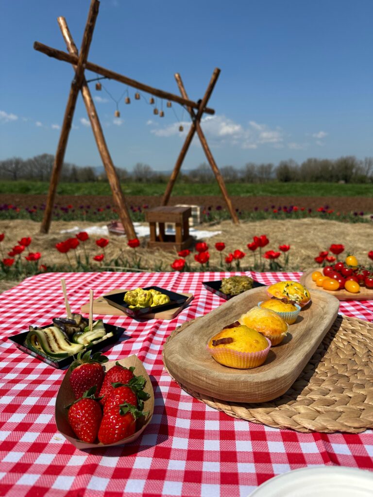 Pasquetta in Fiore: Aperitivo, Picnic e Grigliata tra i Tulipani - SOLD OUT