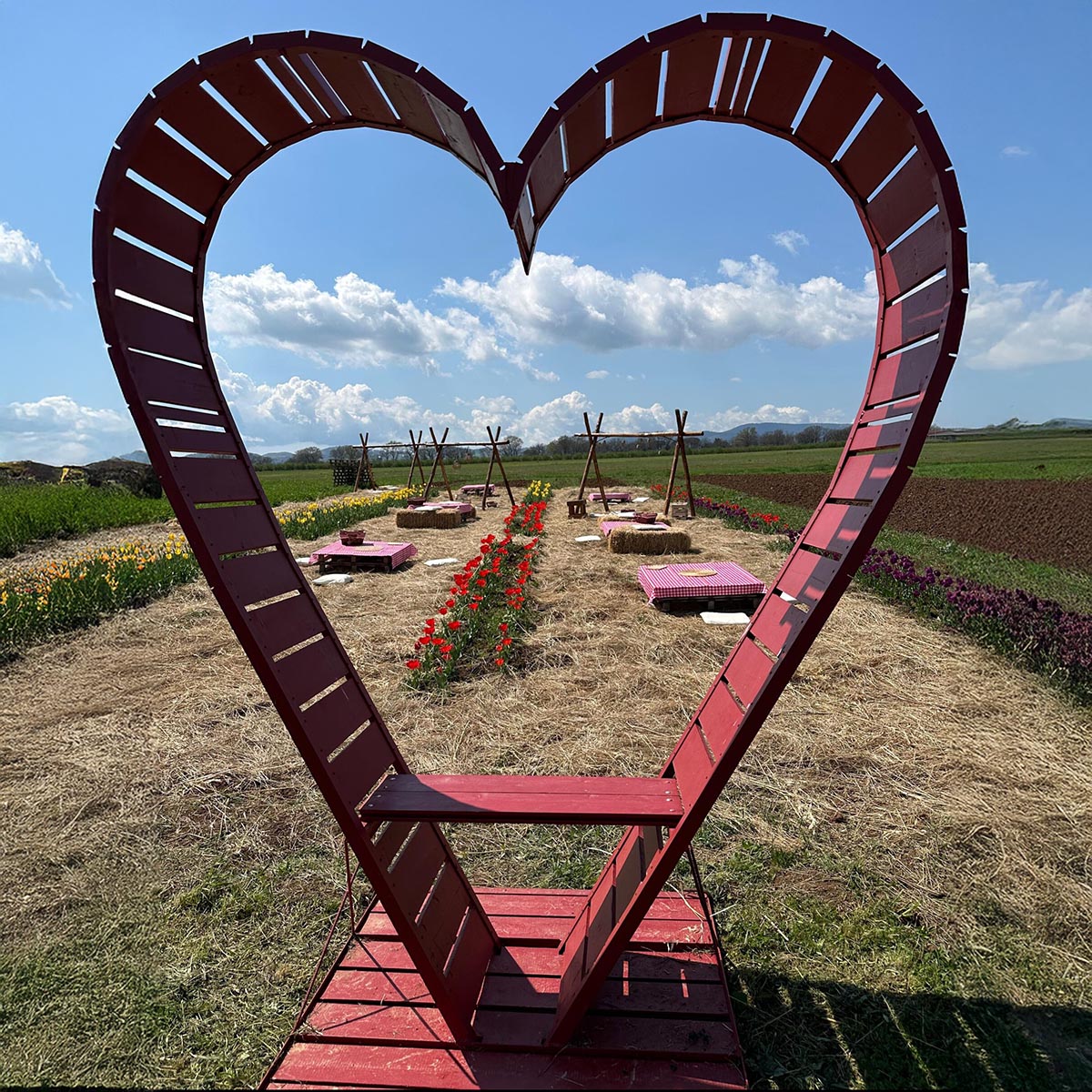 Pasquetta in Fiore: Aperitivo, Picnic e Grigliata tra i Tulipani